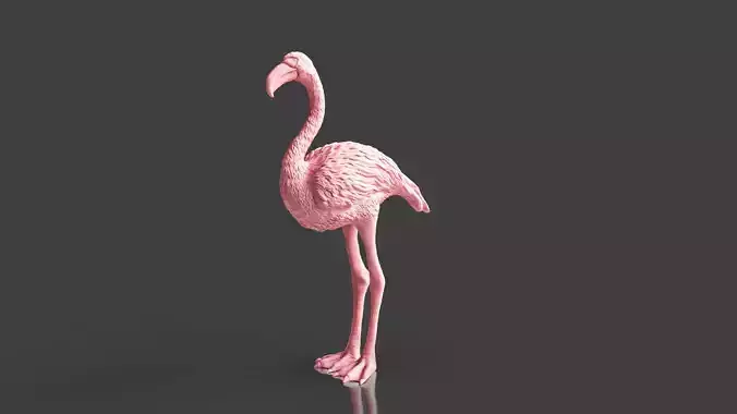 Wild Life Bird Series Flamingo STL Toy 3D print model
