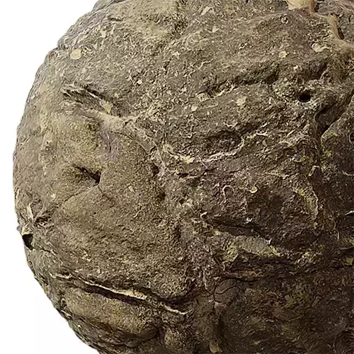 Rock Seamless Texture 2K - EXR 5 - JPG 5 Texture 