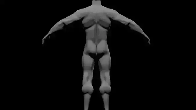 Human Body Model