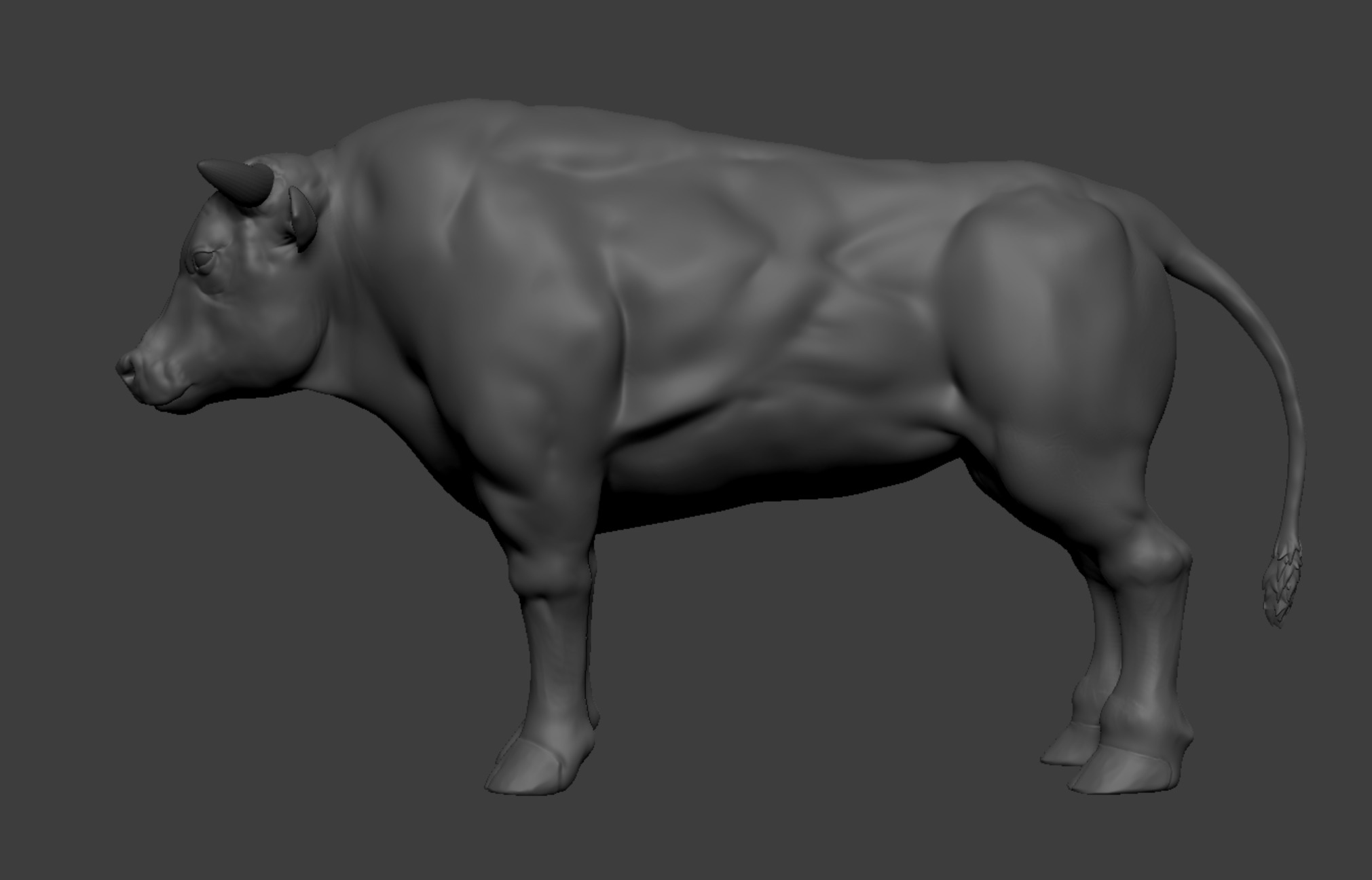 Realistic Bull 3D Model Low-poly 3D model_2