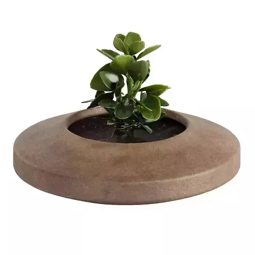 Rivor planter