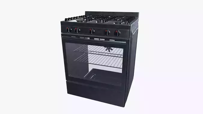 Gas Stove
