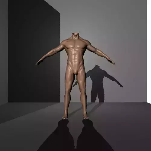 BFAS 2022 50366 human male body