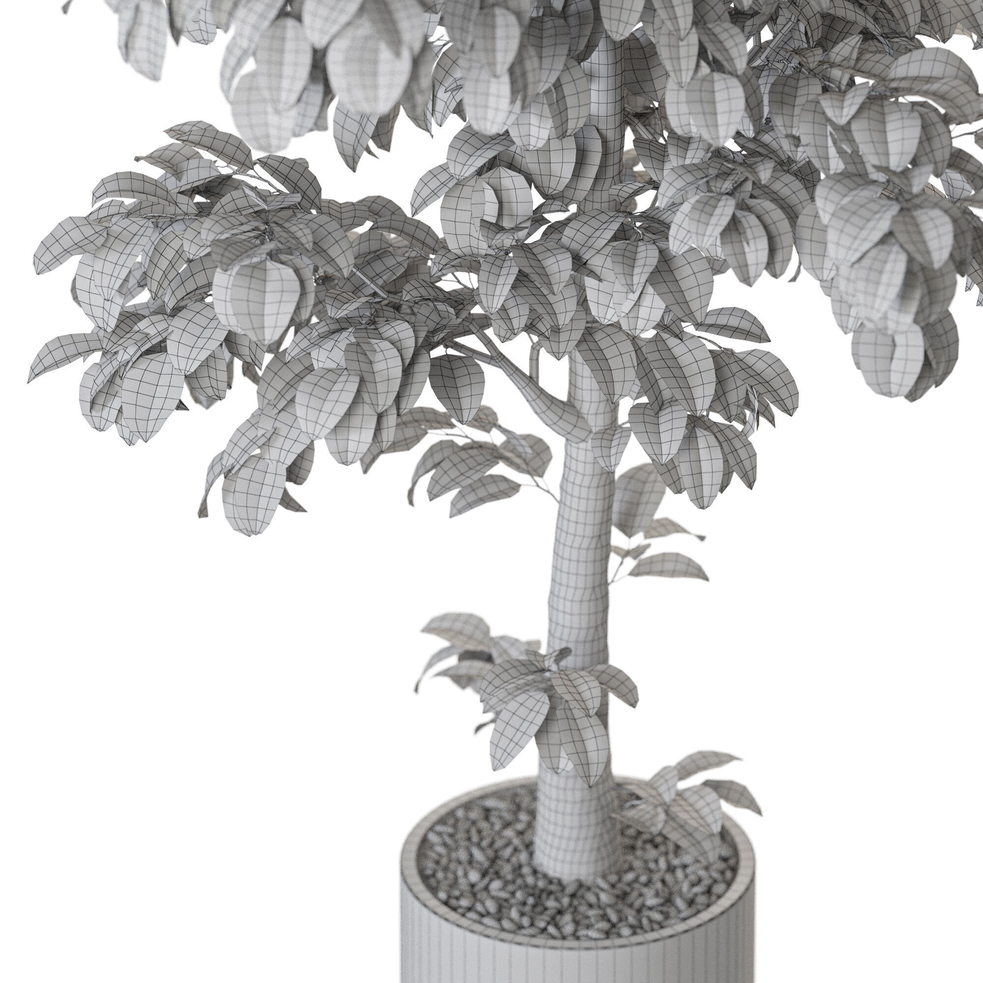 Plant 1202 3D model_5