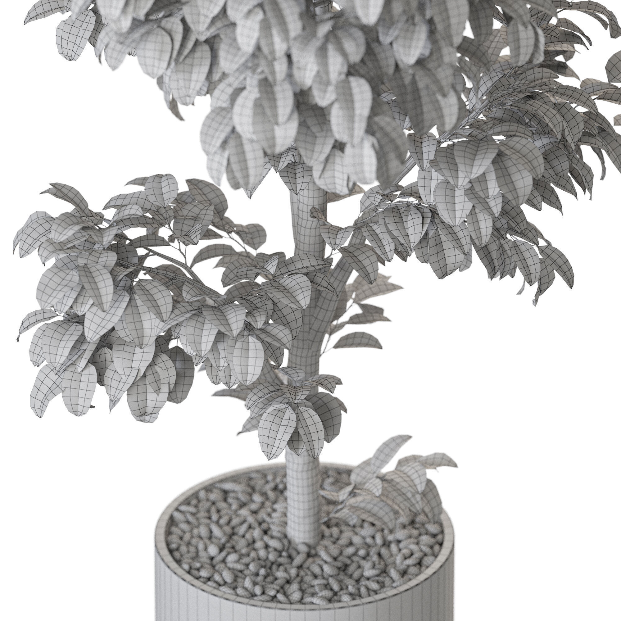 Plant 1203 3D model_5
