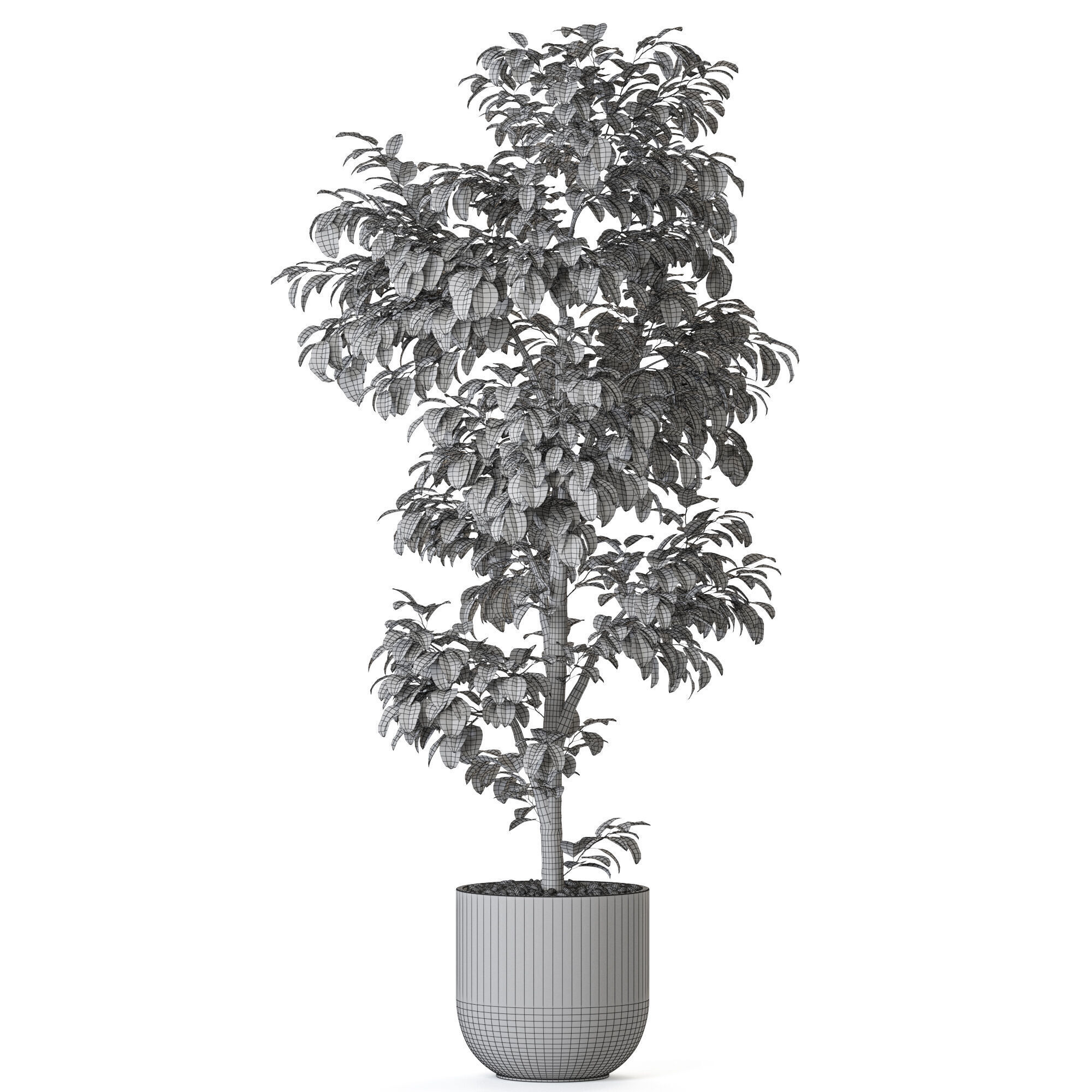 Plant 1203 3D model_4