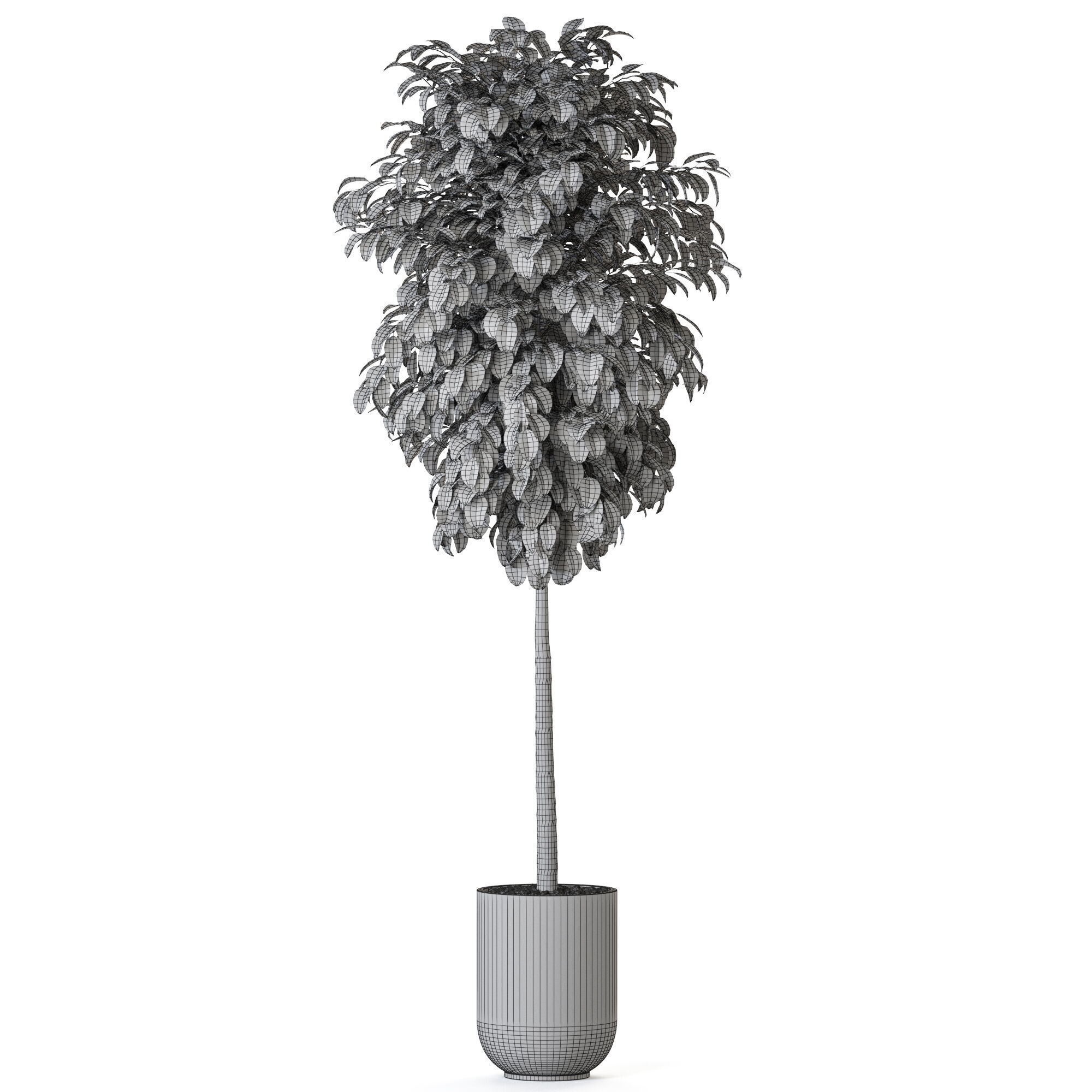 Plant 1204 3D model_4