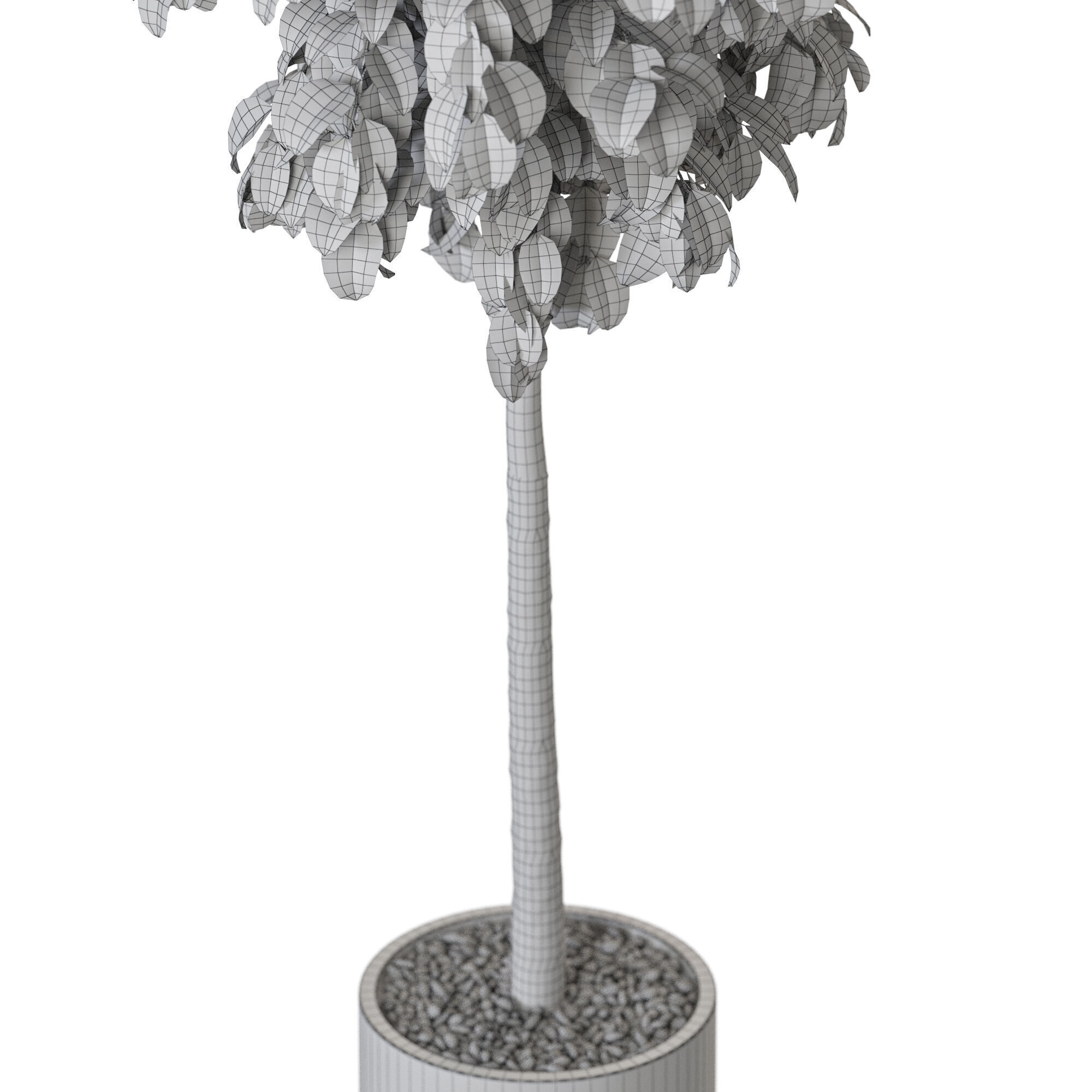 Plant 1204 3D model_5