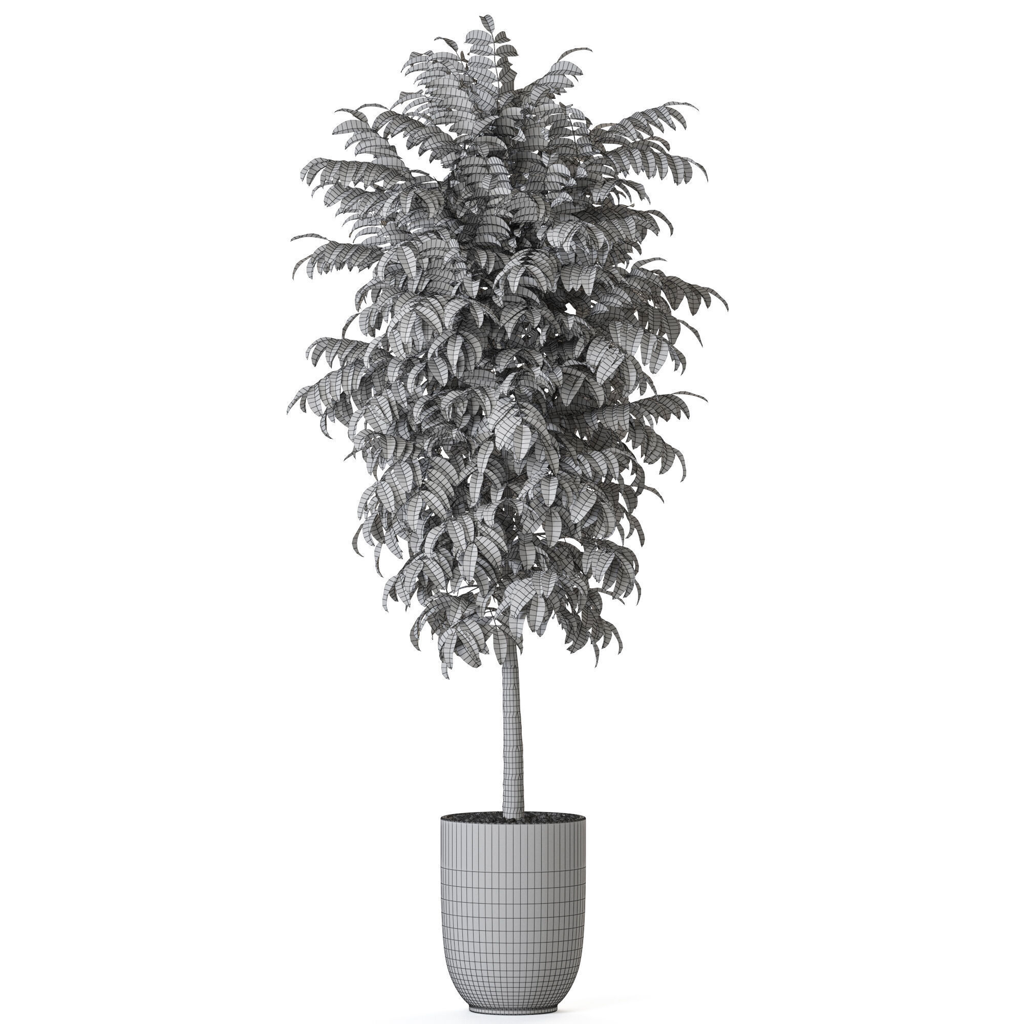 Plant 1205 3D model_4
