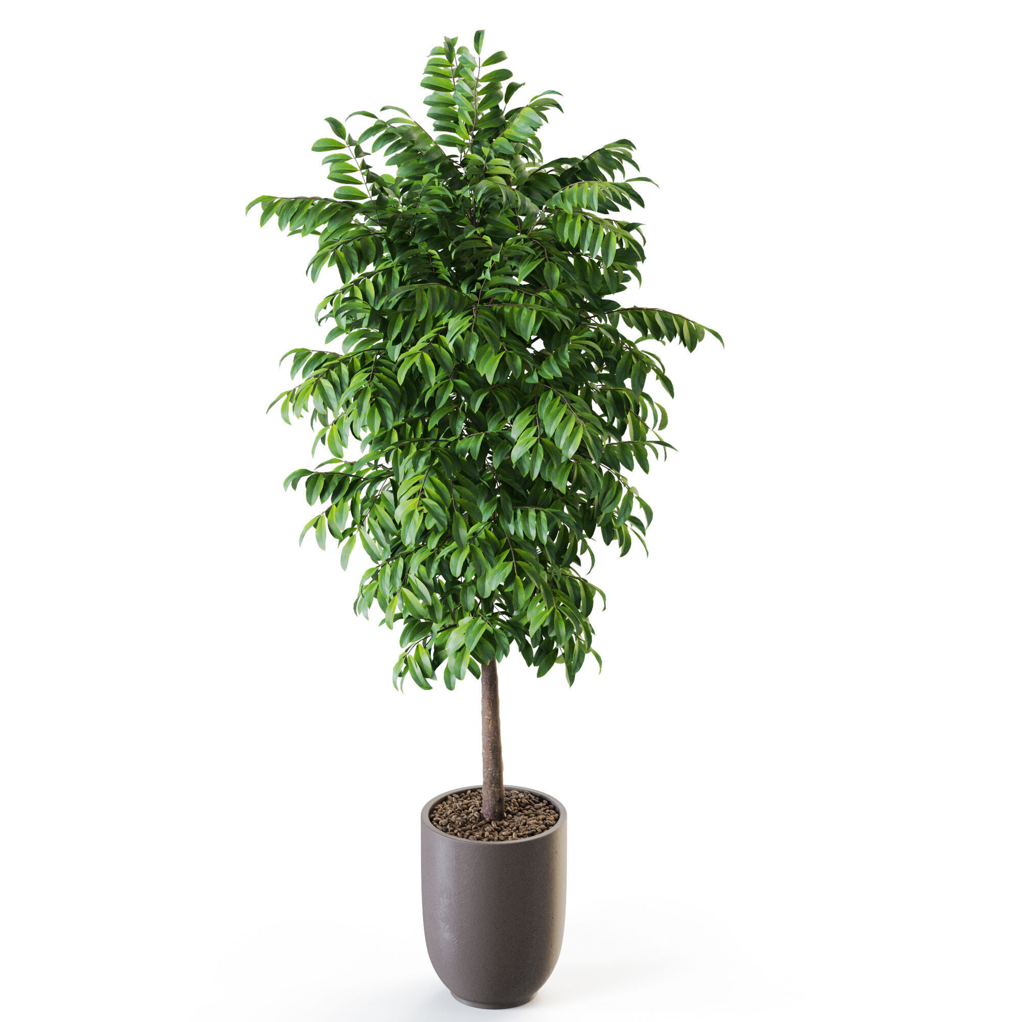 Plant 1205 3D model_3