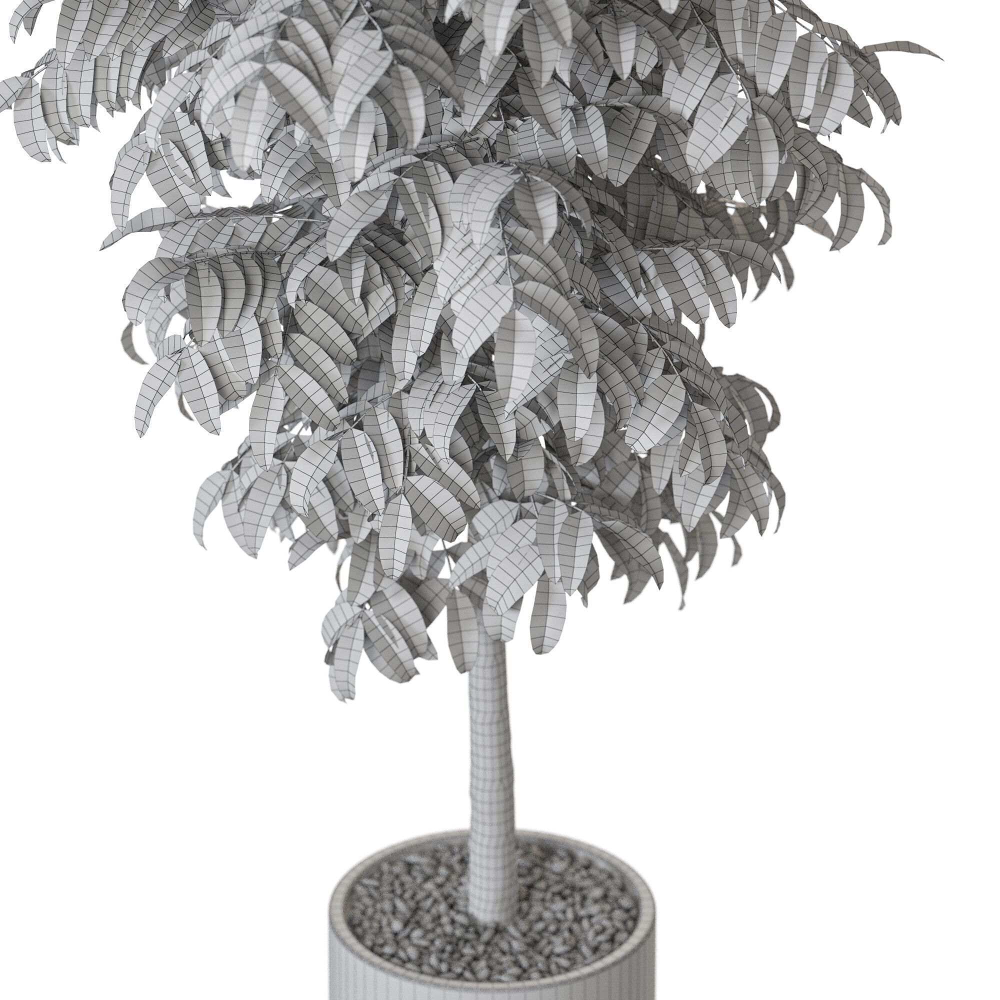 Plant 1205 3D model_5