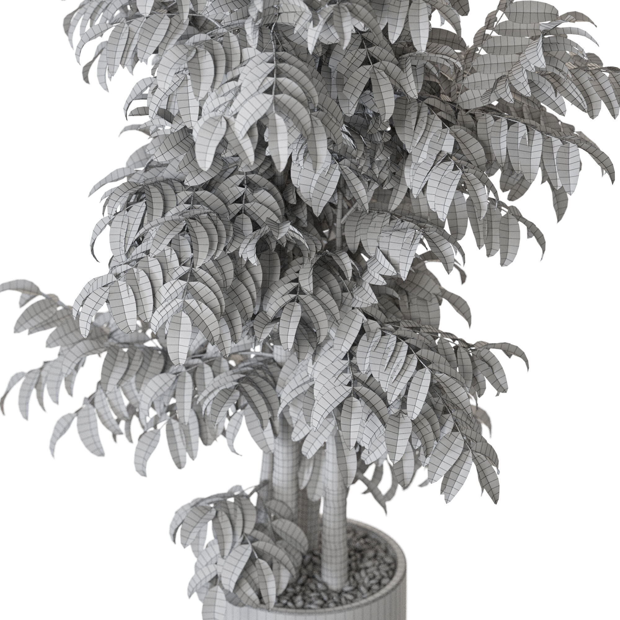 Plant 1206 3D model_5