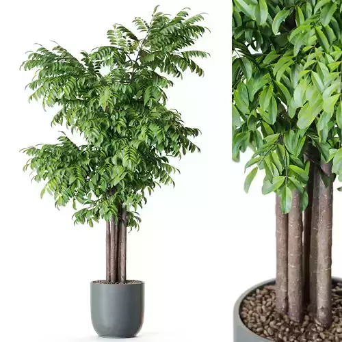 Plant 1207 3D model