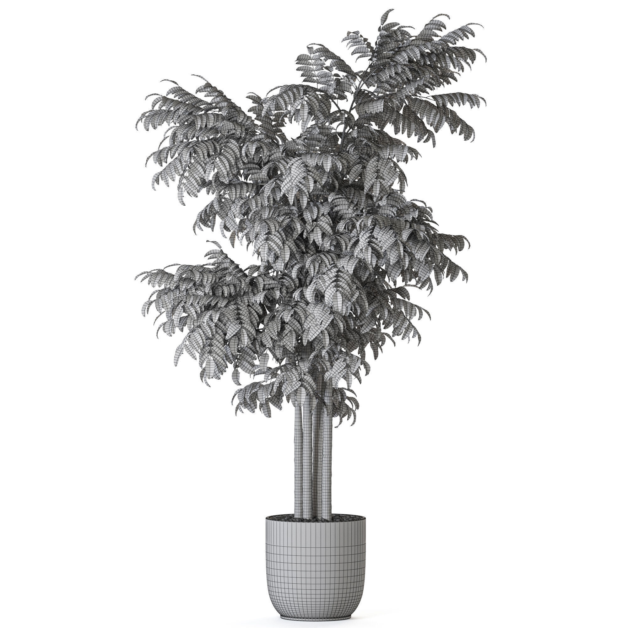 Plant 1207 3D model_4