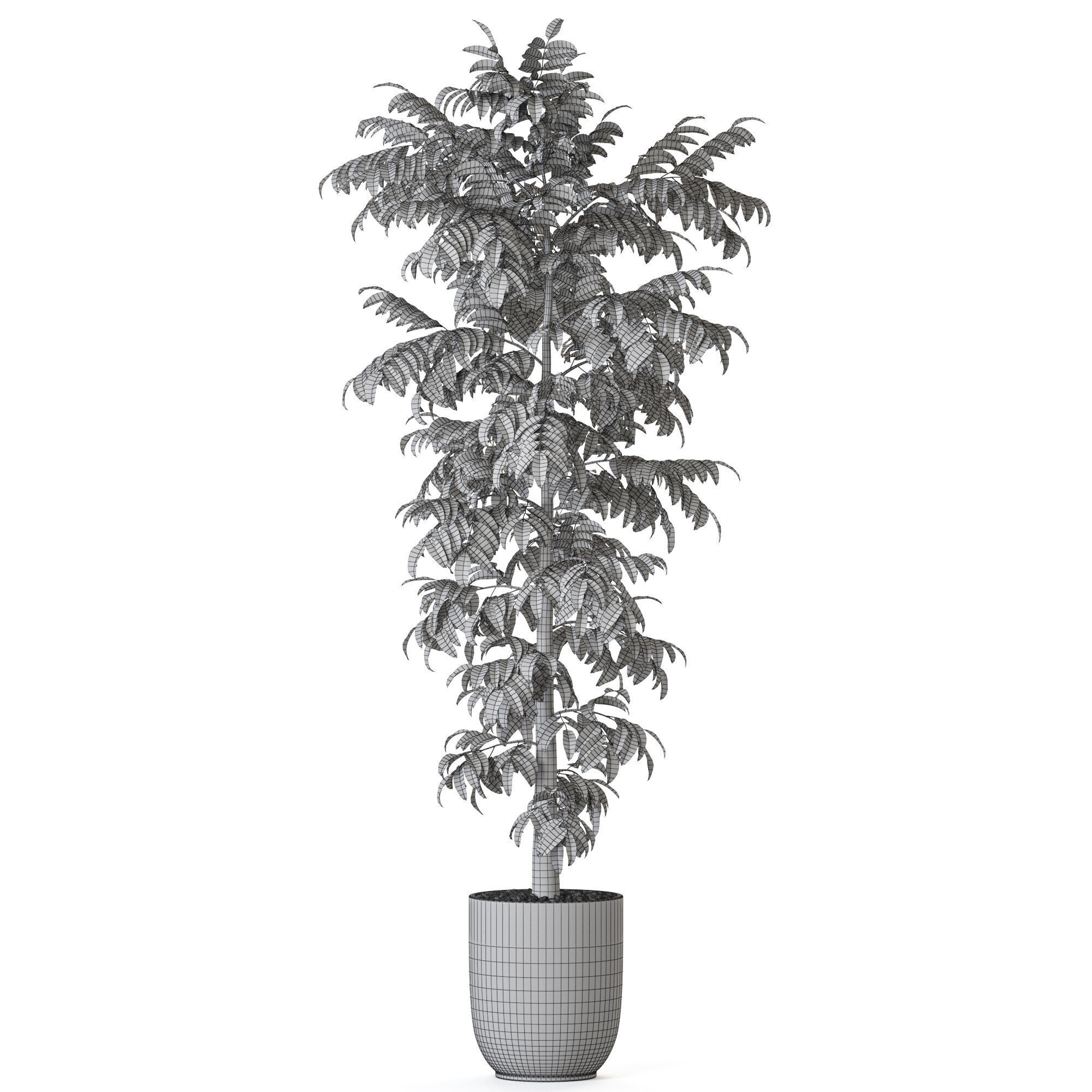 Plant 1208 3D model_4
