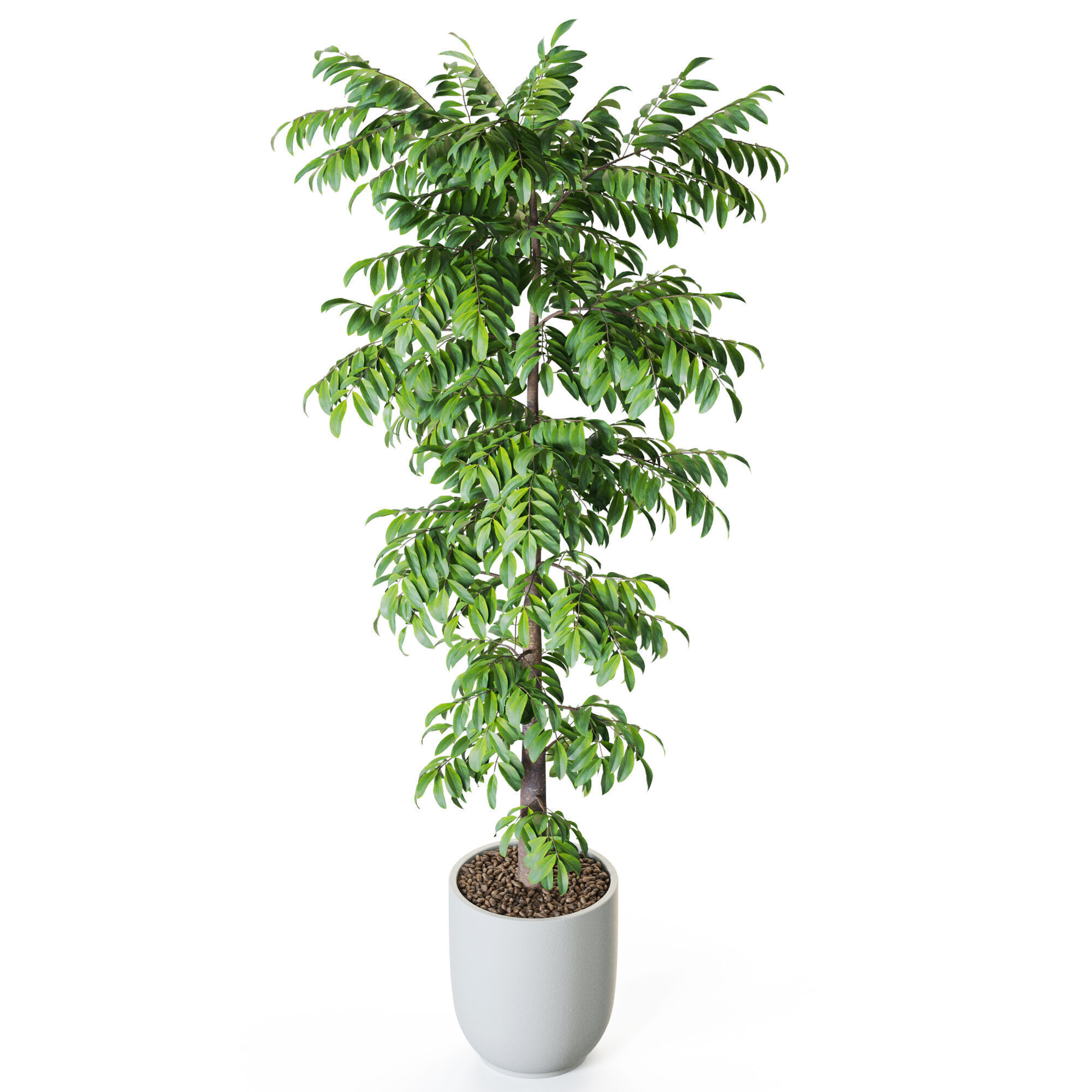 Plant 1208 3D model_3