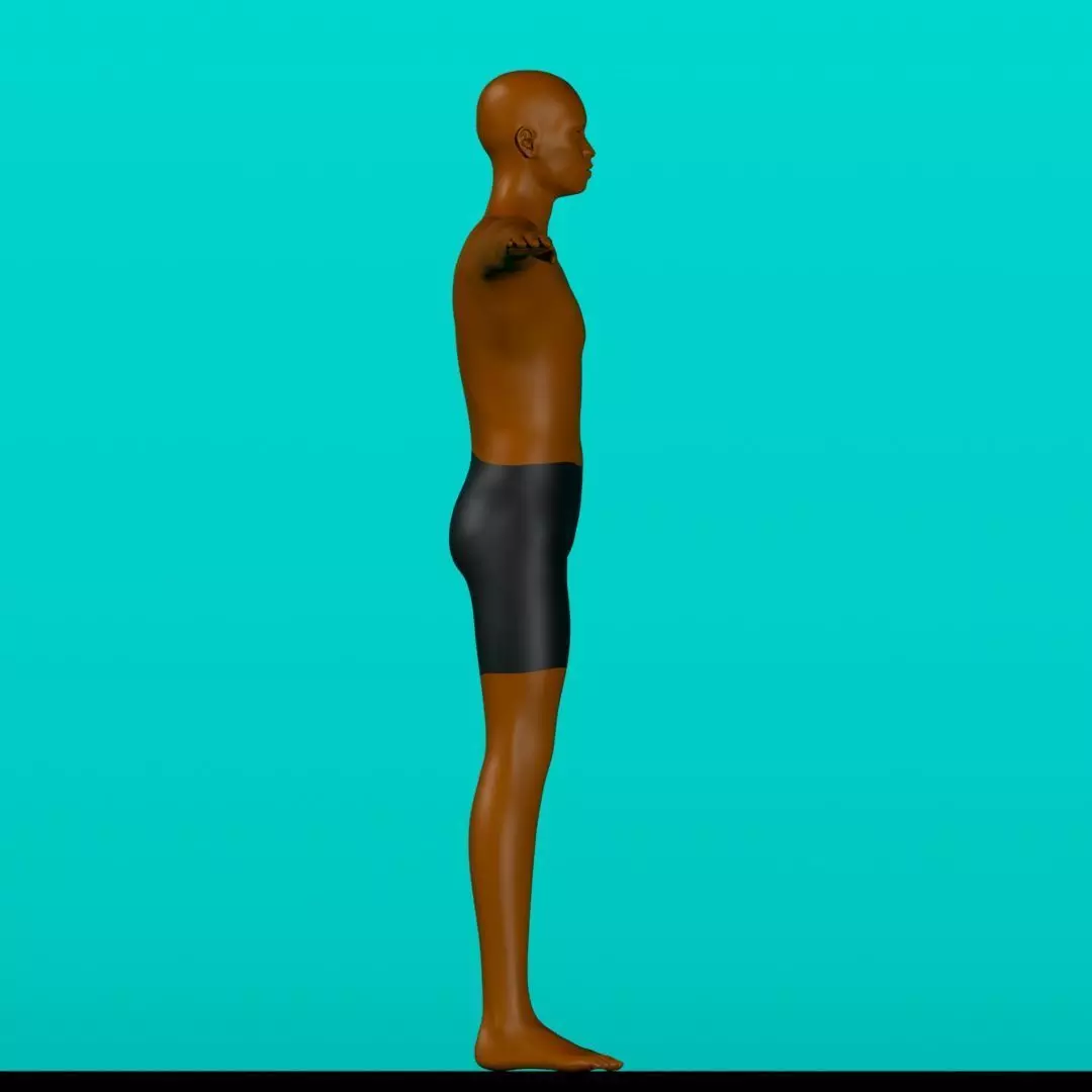 MALE BODY ANATOMY Free 3D print model