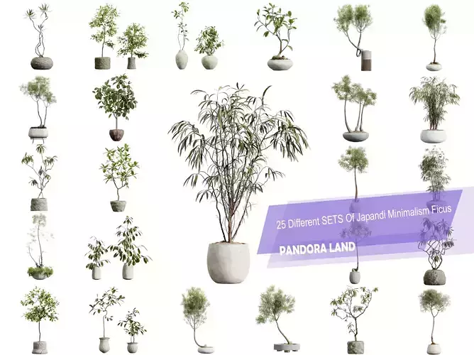 AV 25 Different SETS Of Japandi Minimalism Ficus 3D Model  3D Model Collection