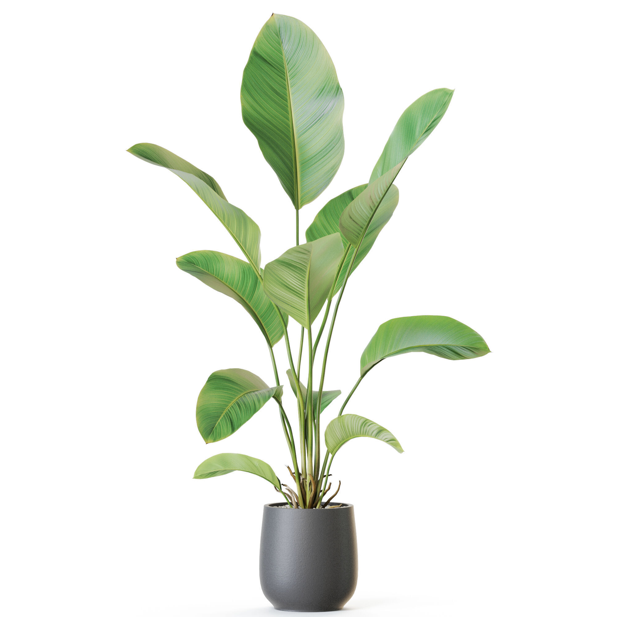Plant 1209 3D model_1