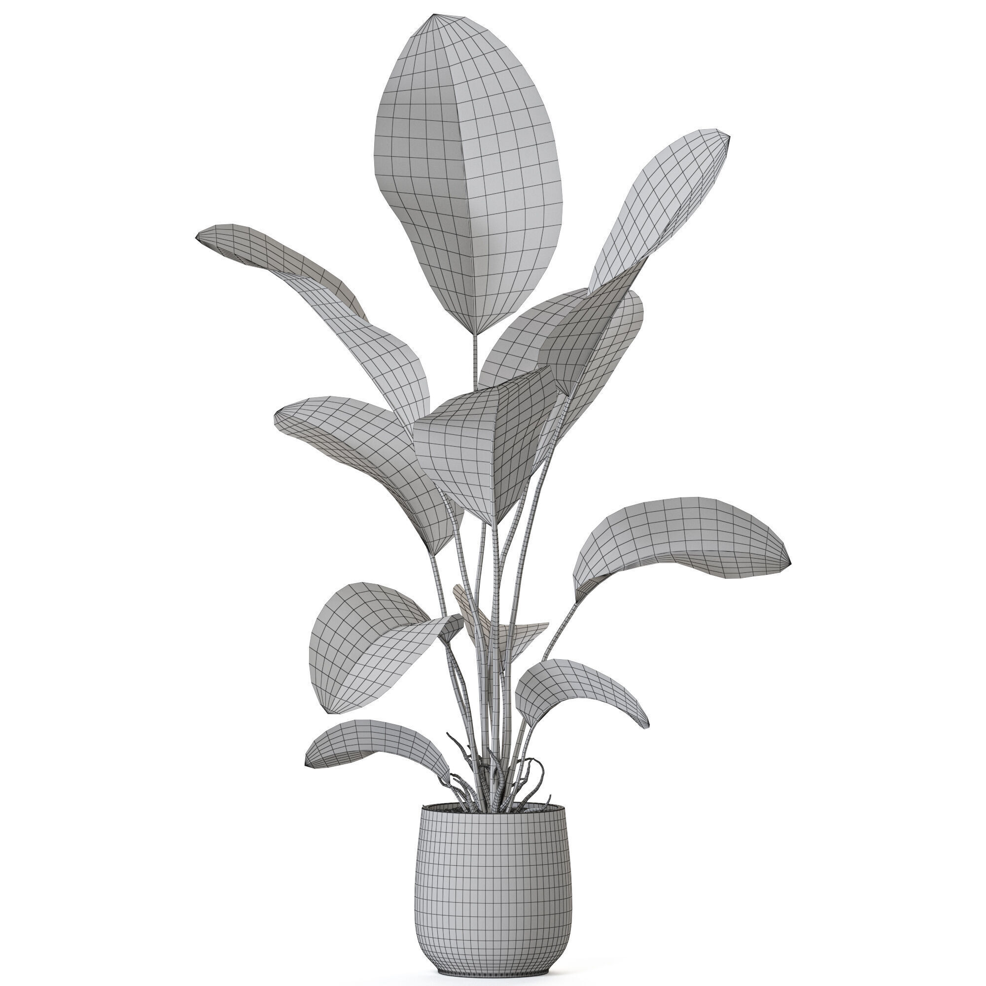 Plant 1209 3D model_4