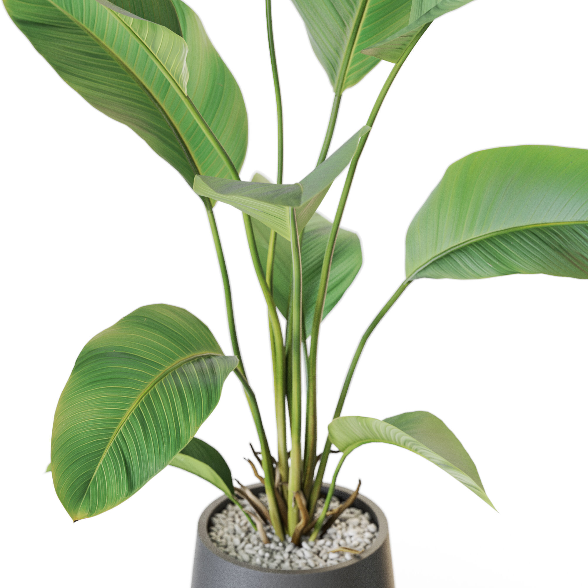 Plant 1209 3D model_2