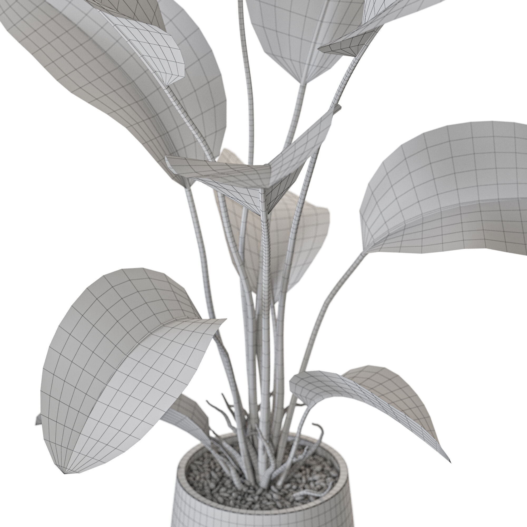 Plant 1209 3D model_5