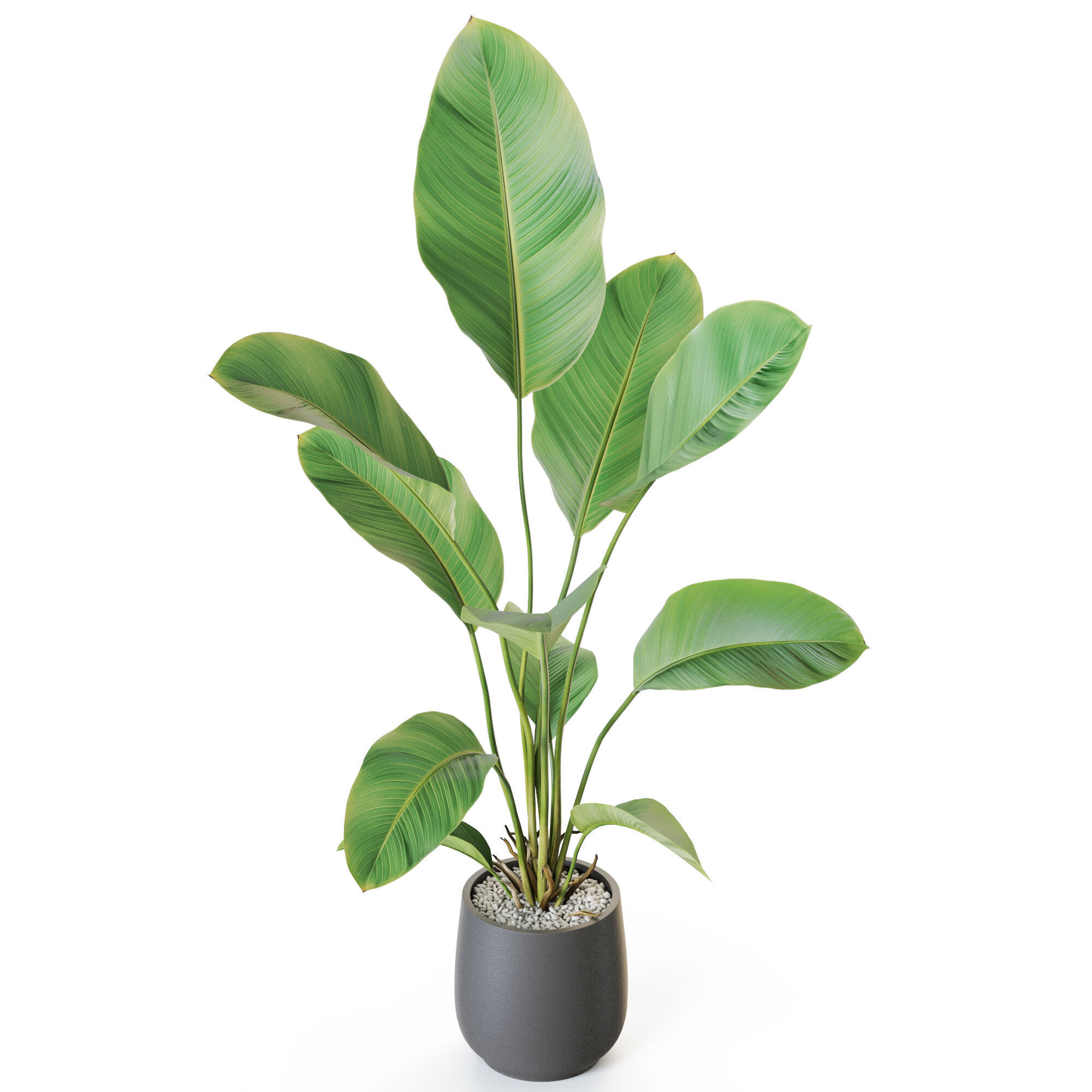 Plant 1209 3D model_3
