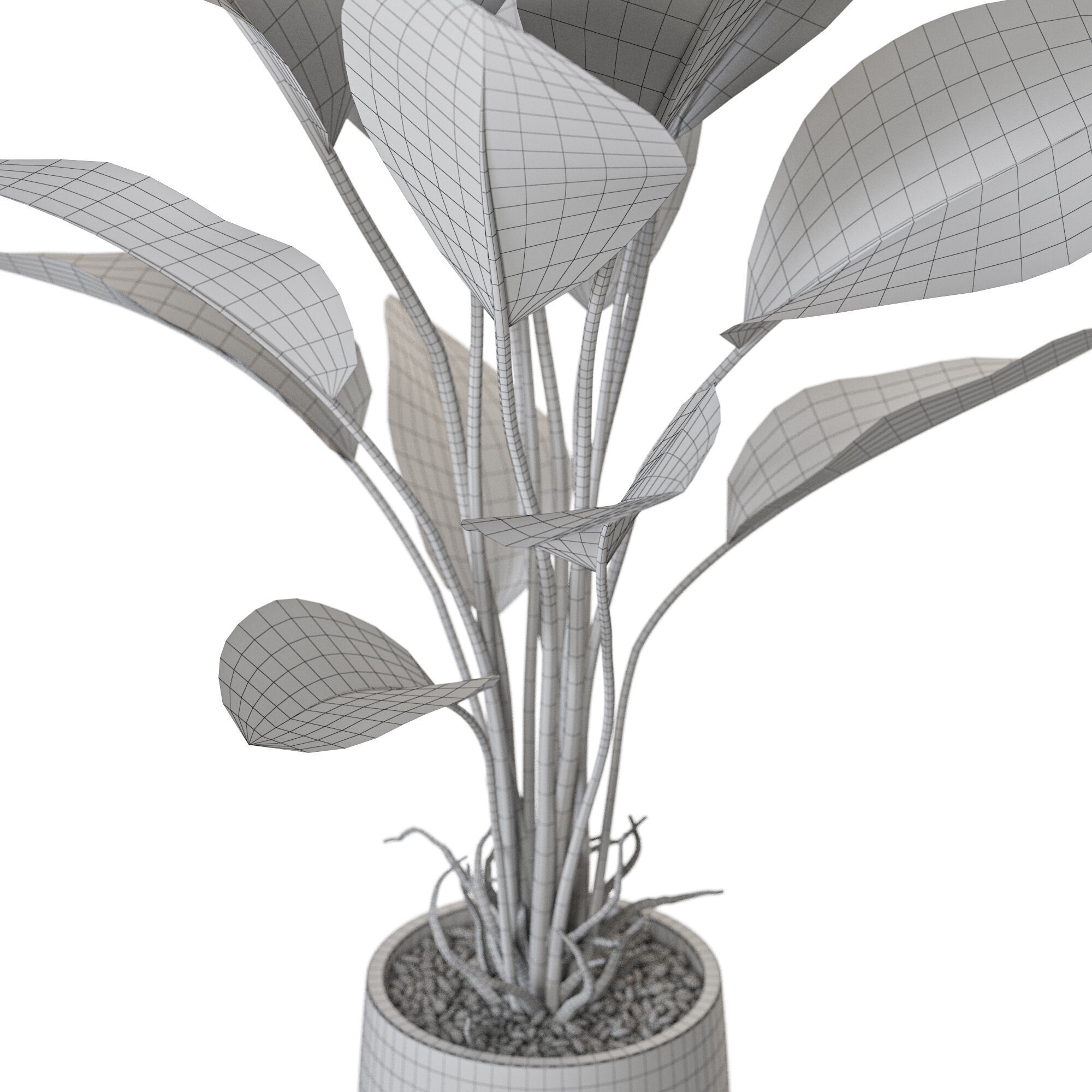 Plant 1210 3D model_5