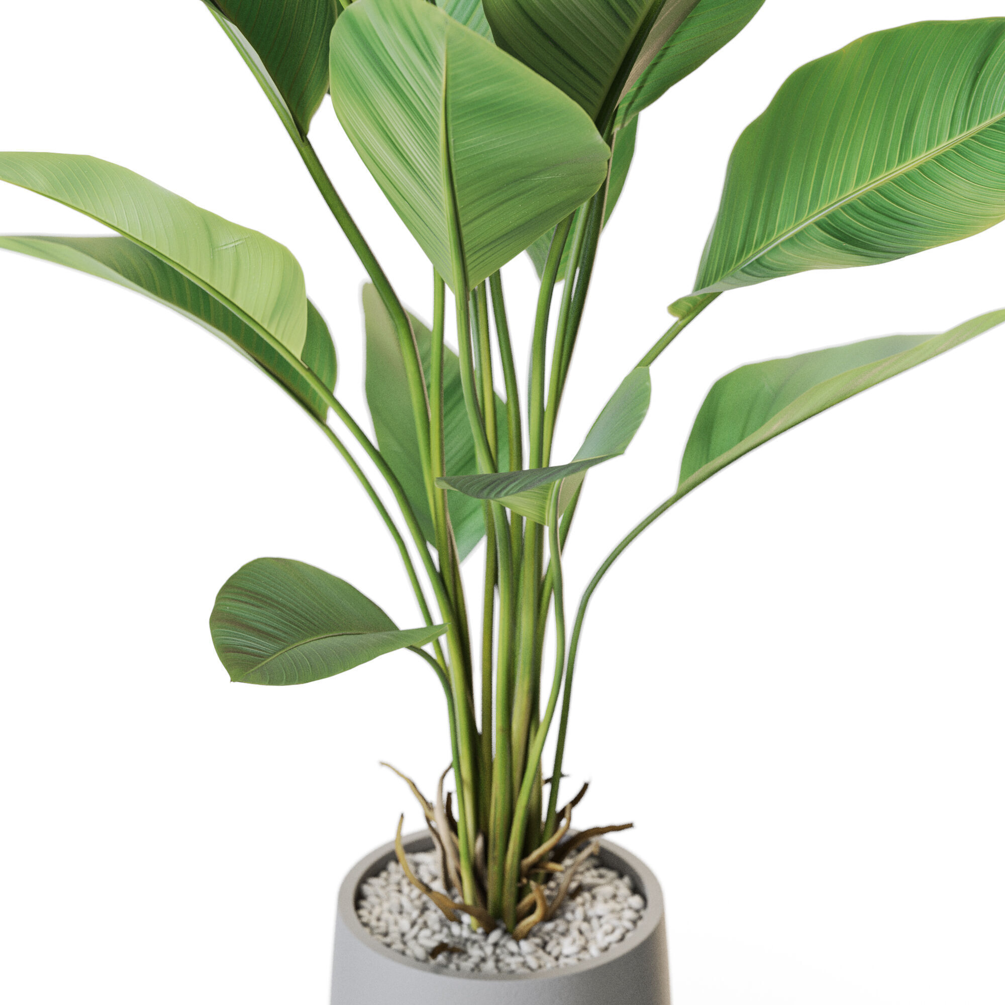 Plant 1210 3D model_2