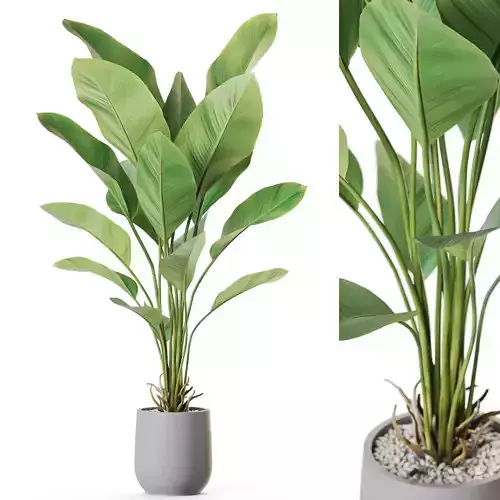 Plant 1210 3D model