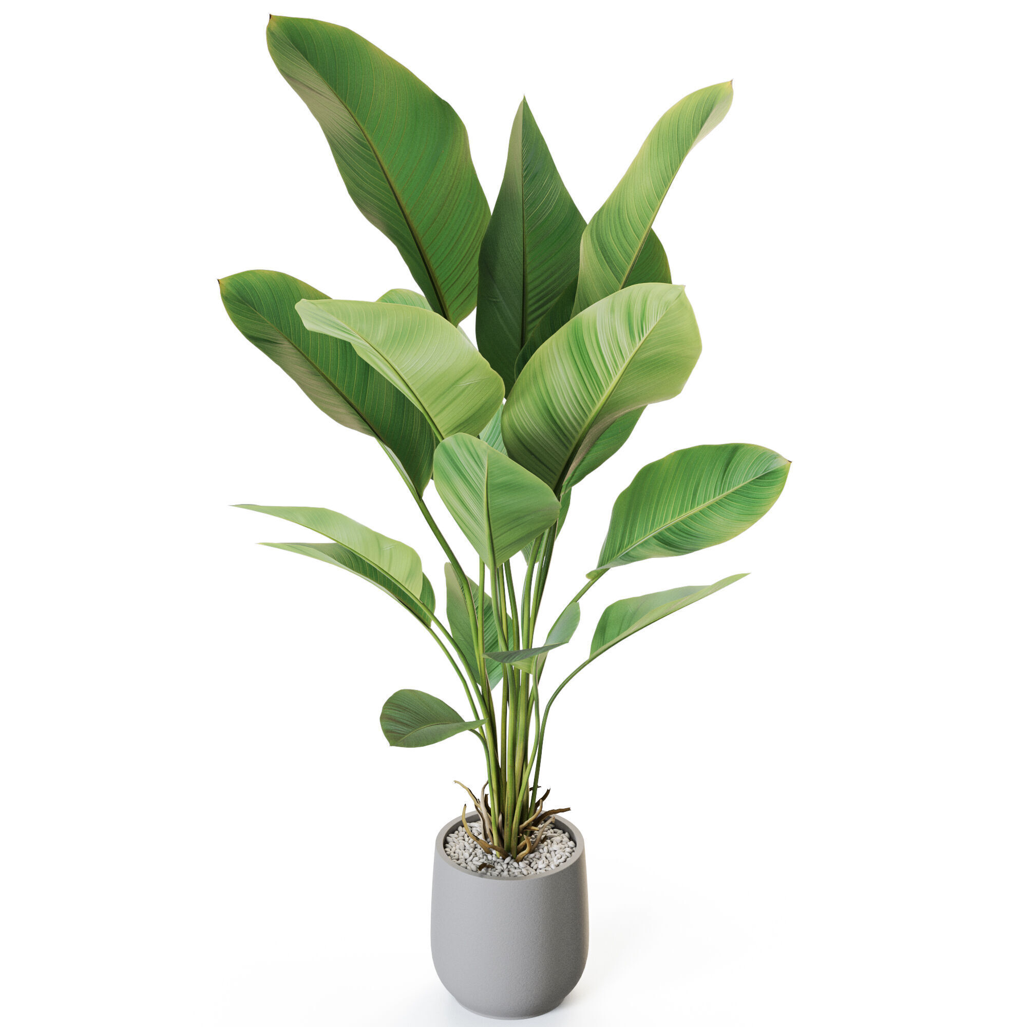 Plant 1210 3D model_3