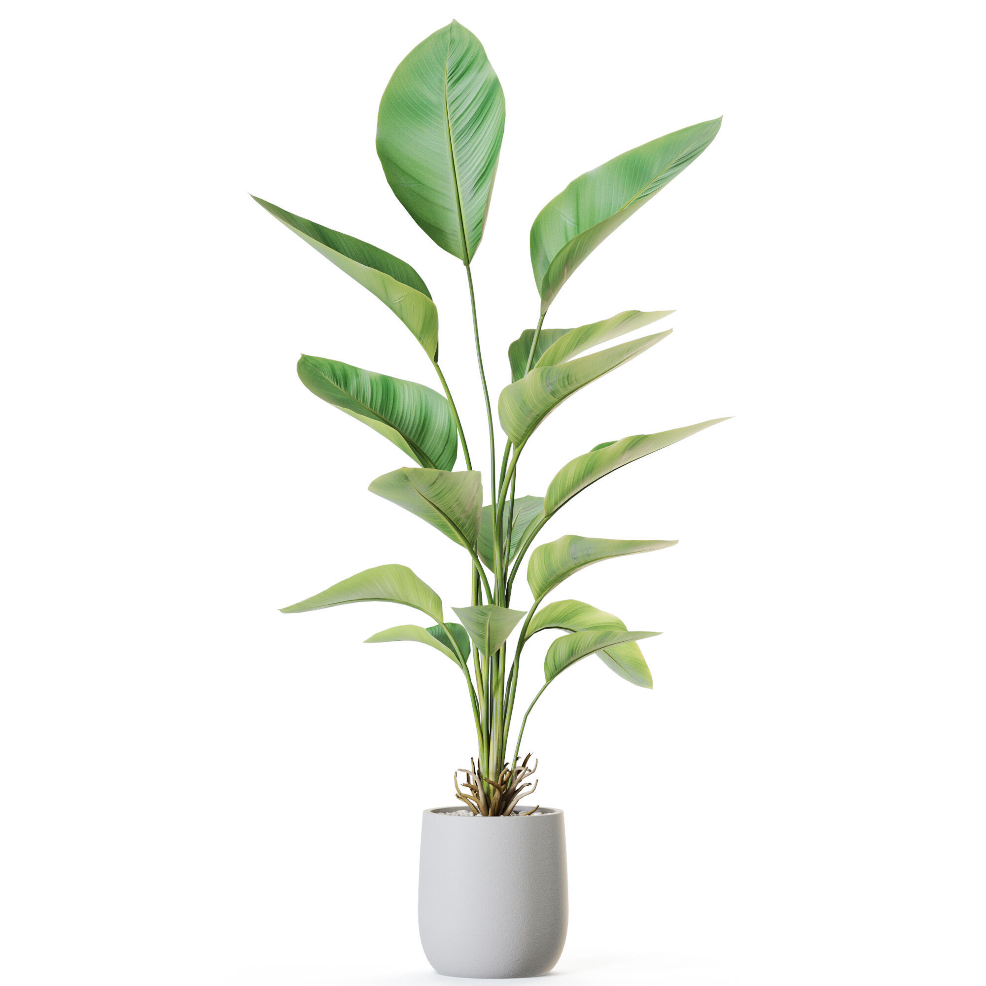 Plant 1211 3D model_1