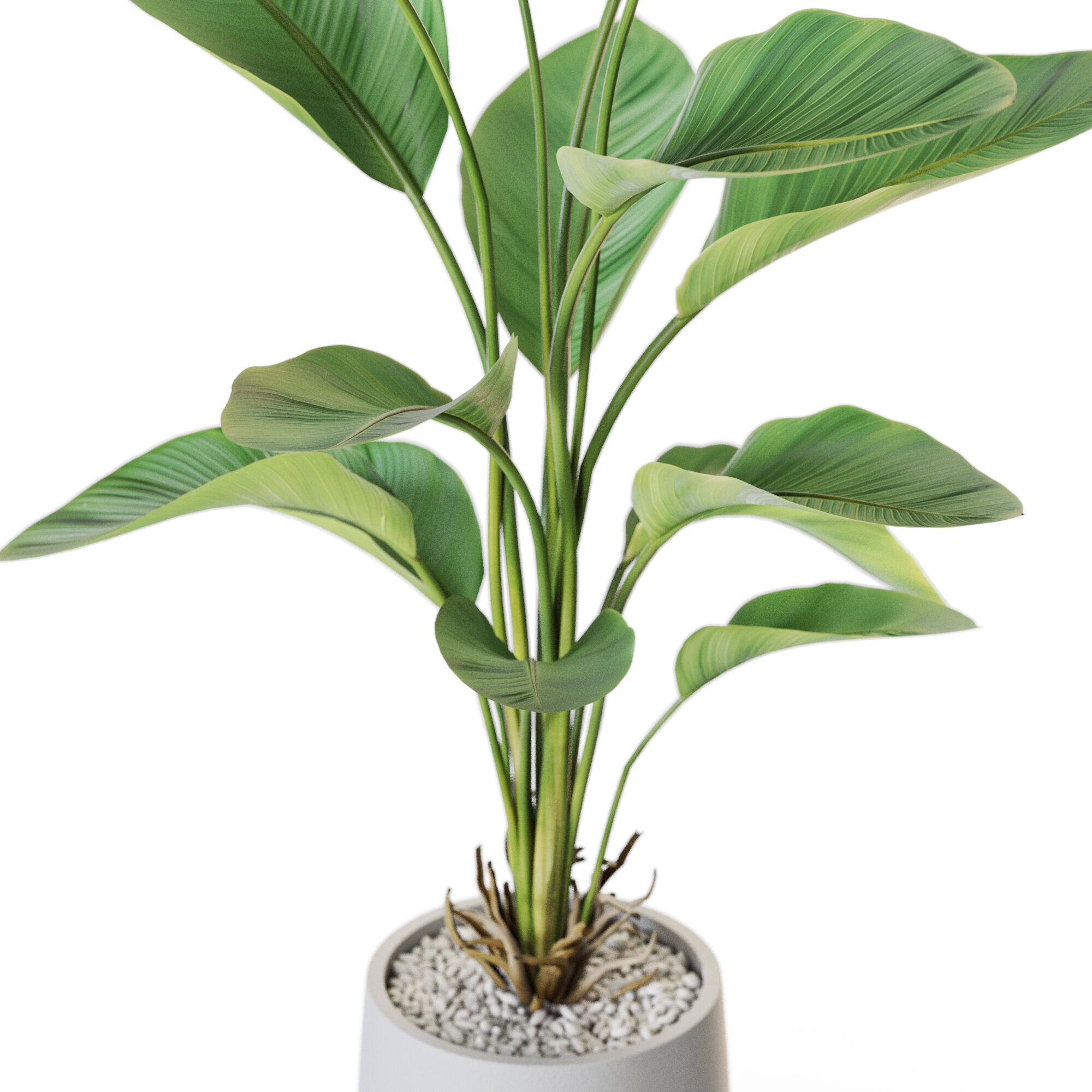 Plant 1211 3D model_2