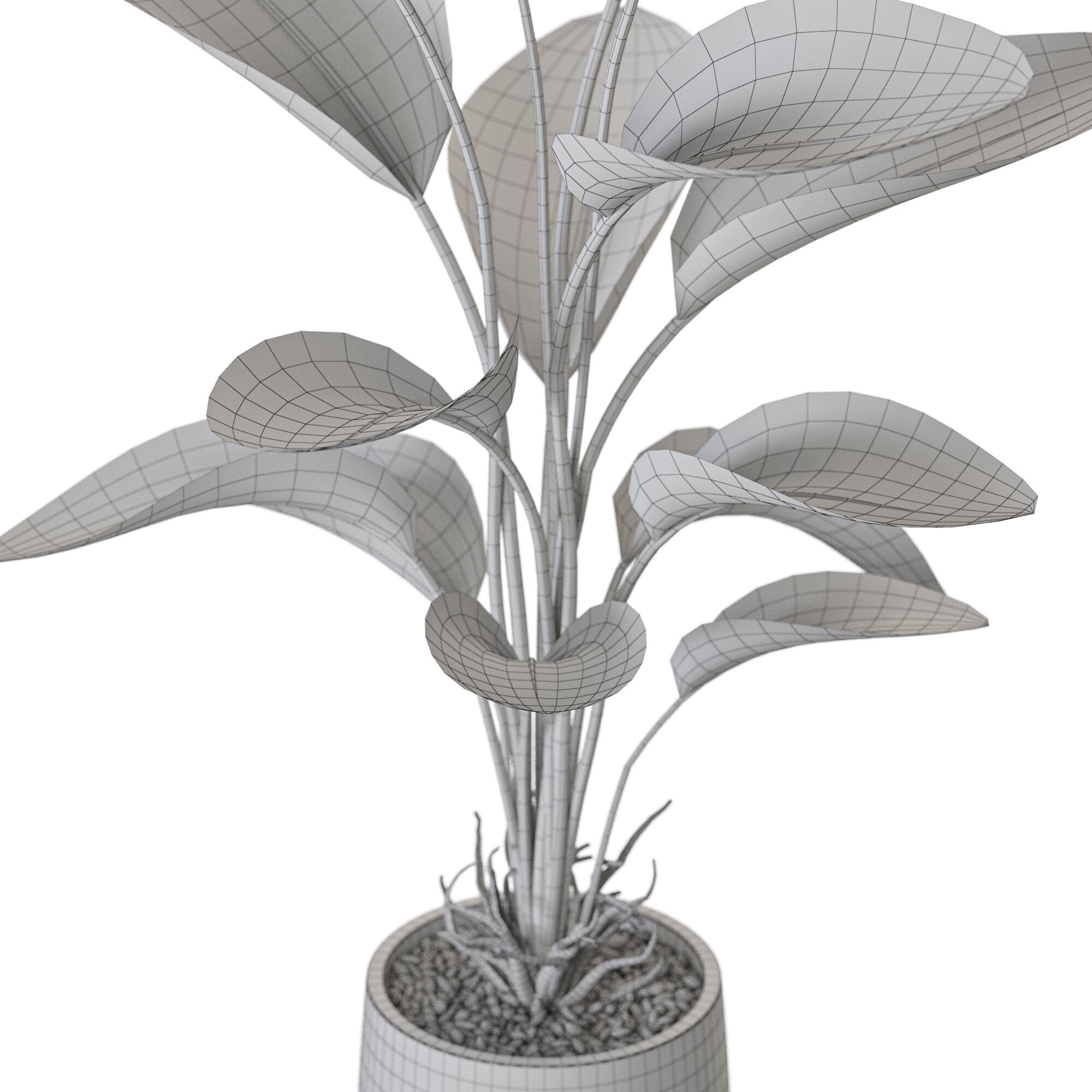 Plant 1211 3D model_5