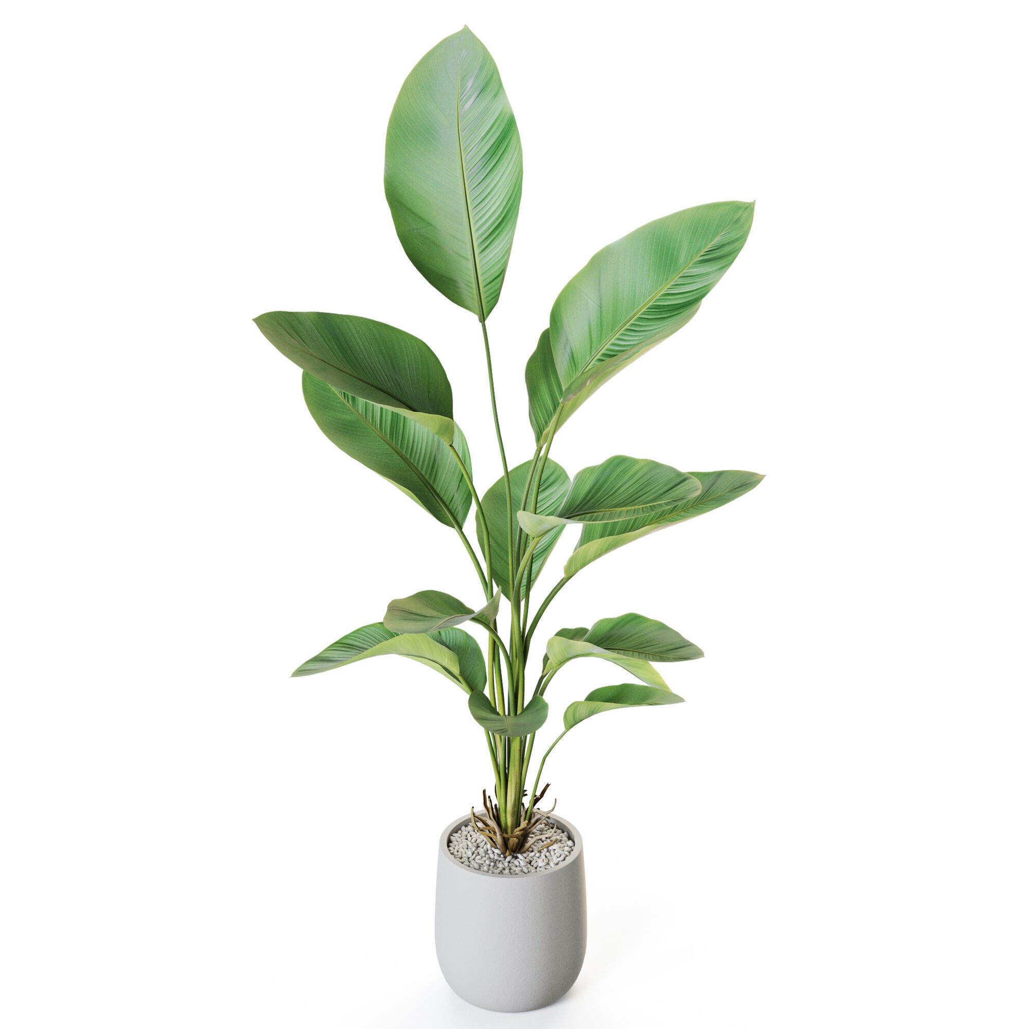 Plant 1211 3D model_3