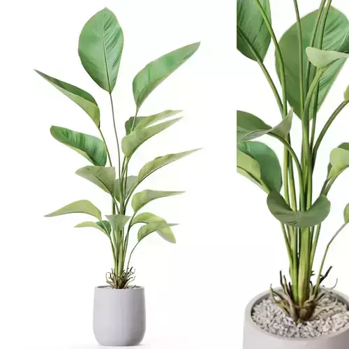 Plant 1211 3D model