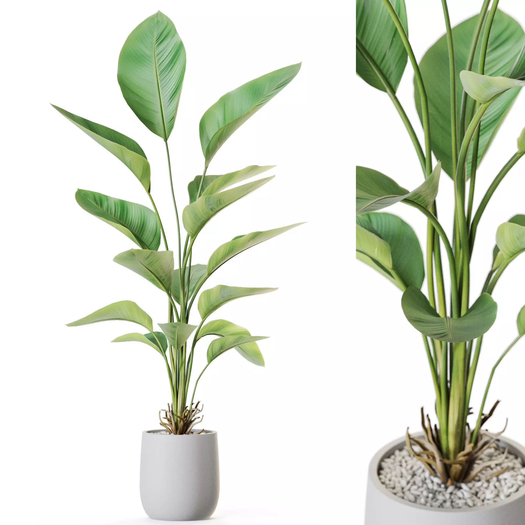 Plant 1211 3D model_0