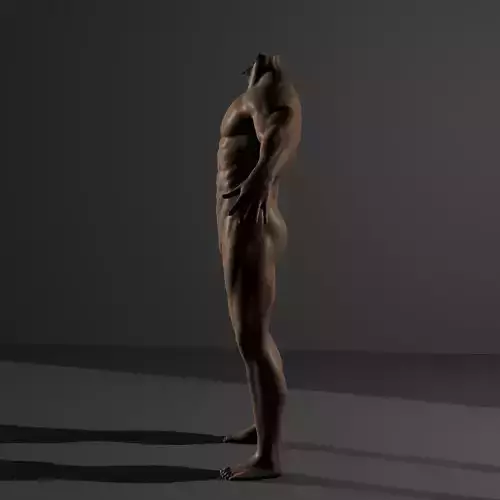 BFAS 2022 50366 Human Male Body