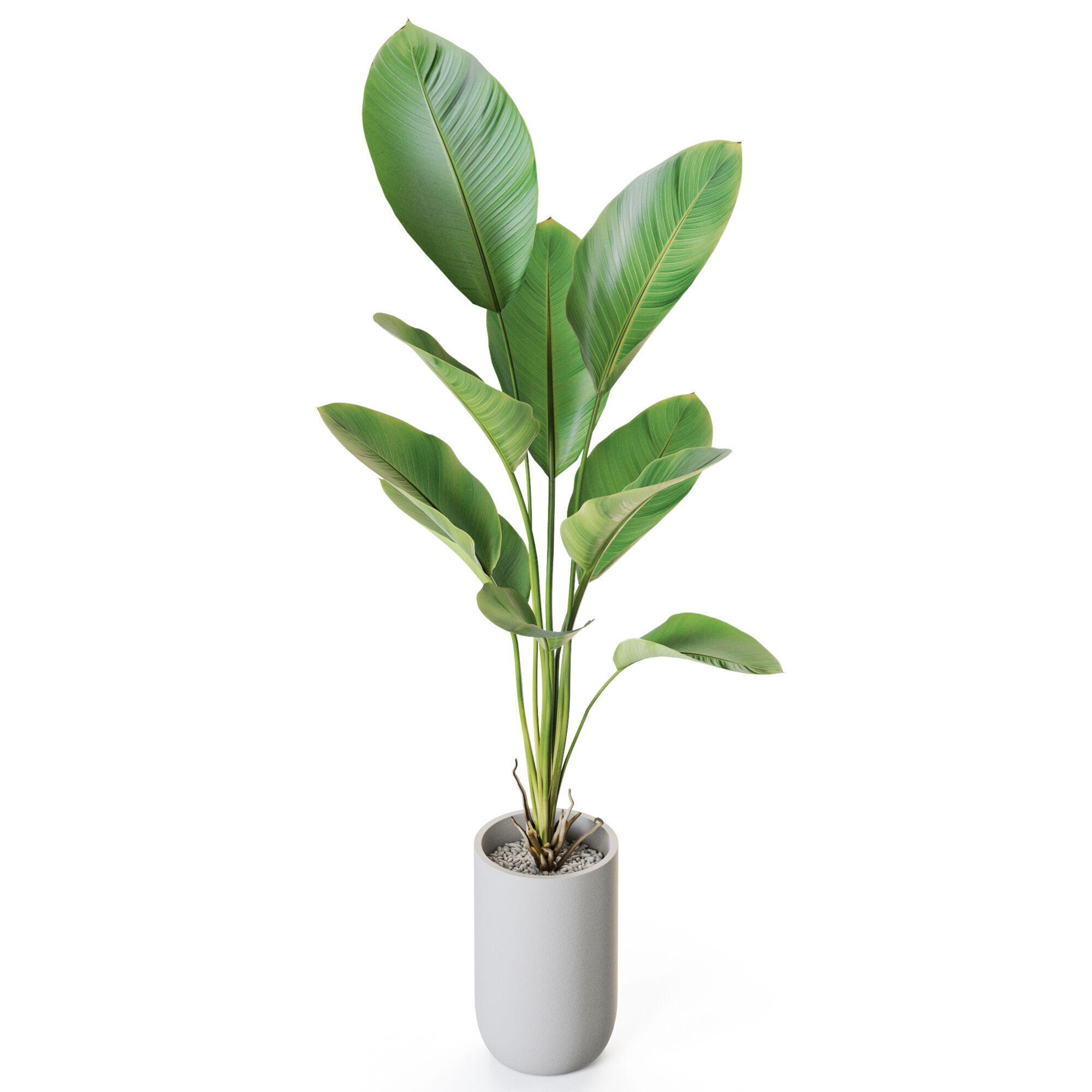 Plant 1212 3D model_3