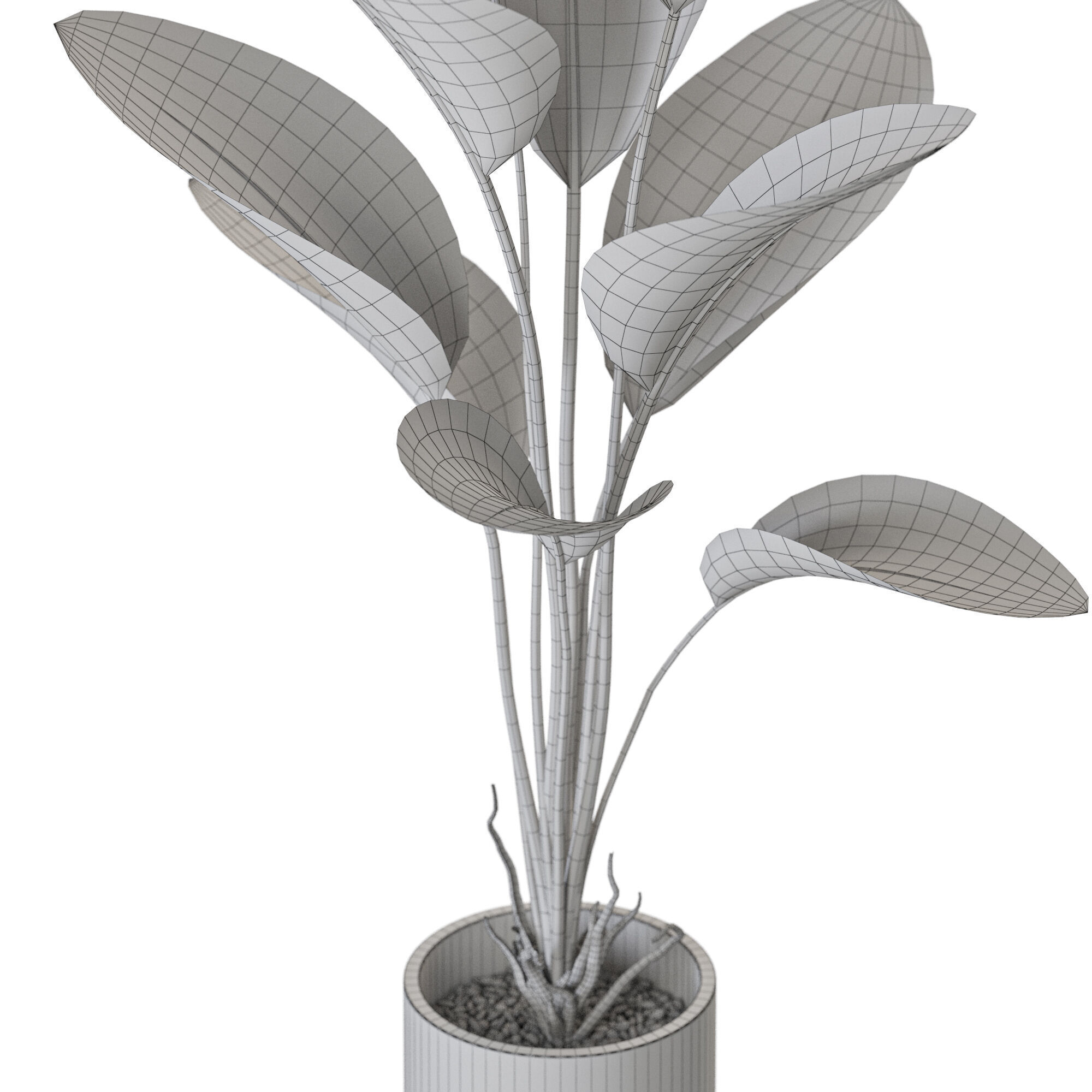 Plant 1212 3D model_5