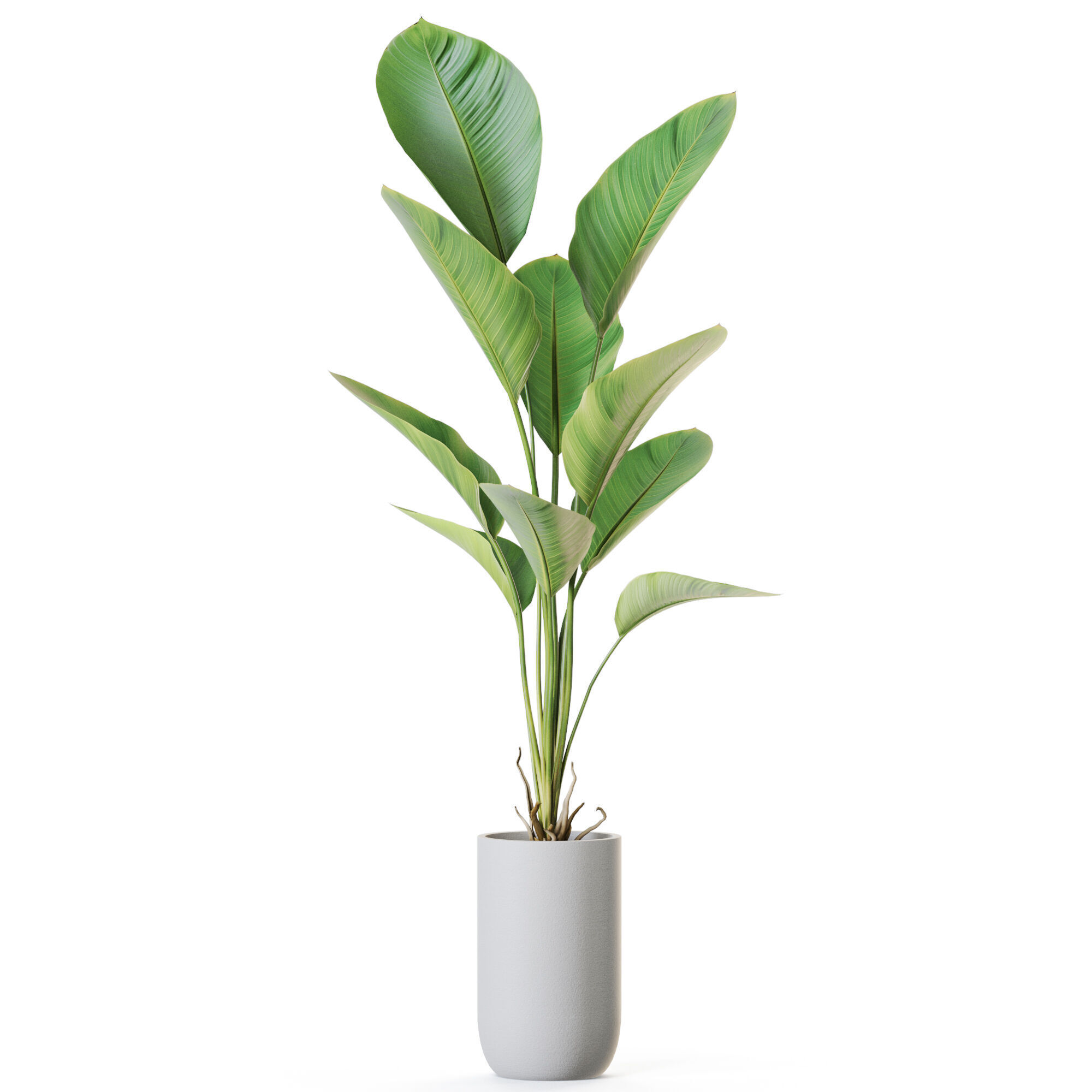 Plant 1212 3D model_1