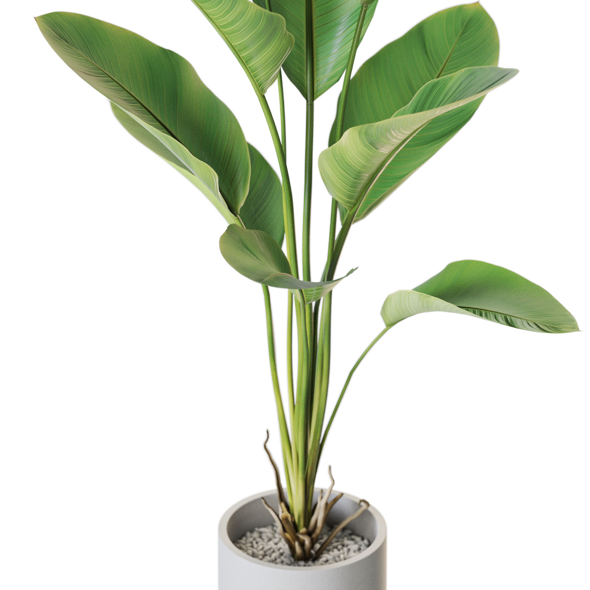 Plant 1212 3D model_2