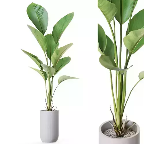 Plant 1212 3D model