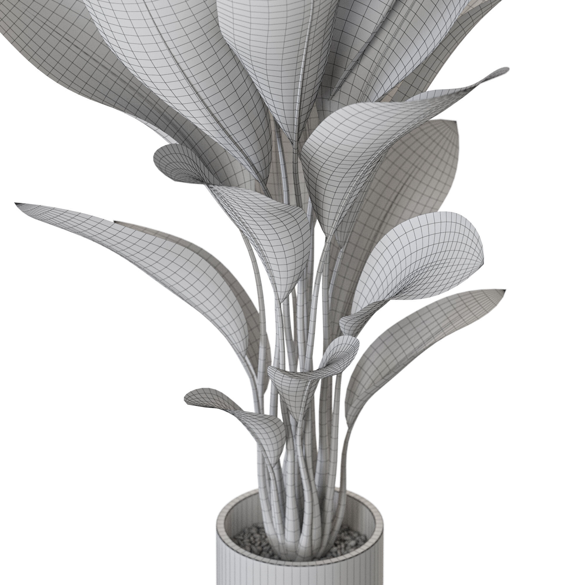 Plant 1213 3D model_5