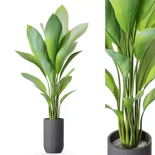 Plant 1213 3D model