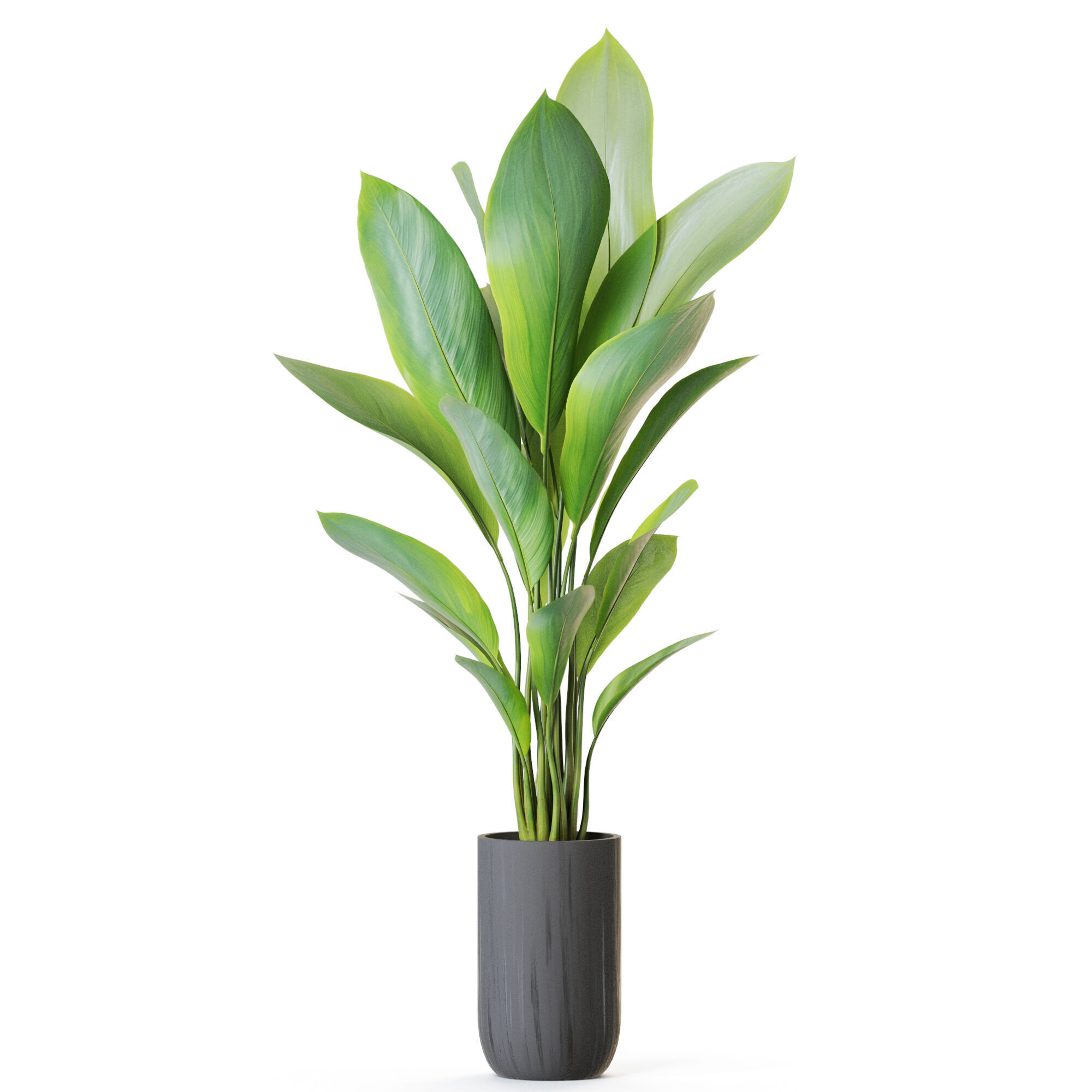 Plant 1213 3D model_1