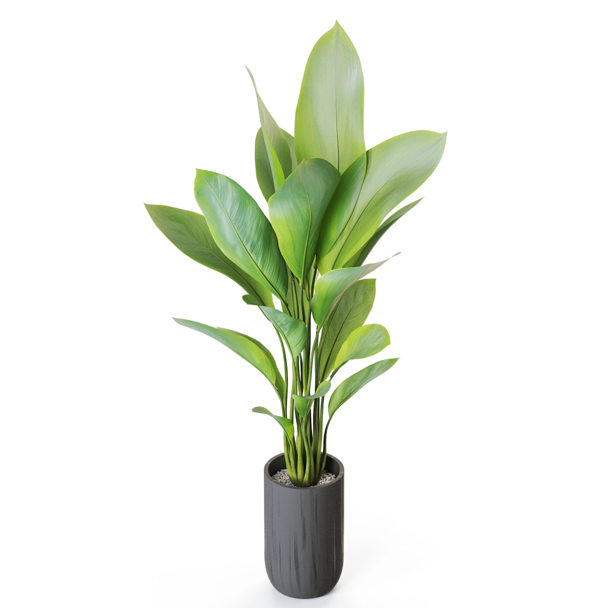 Plant 1213 3D model_3