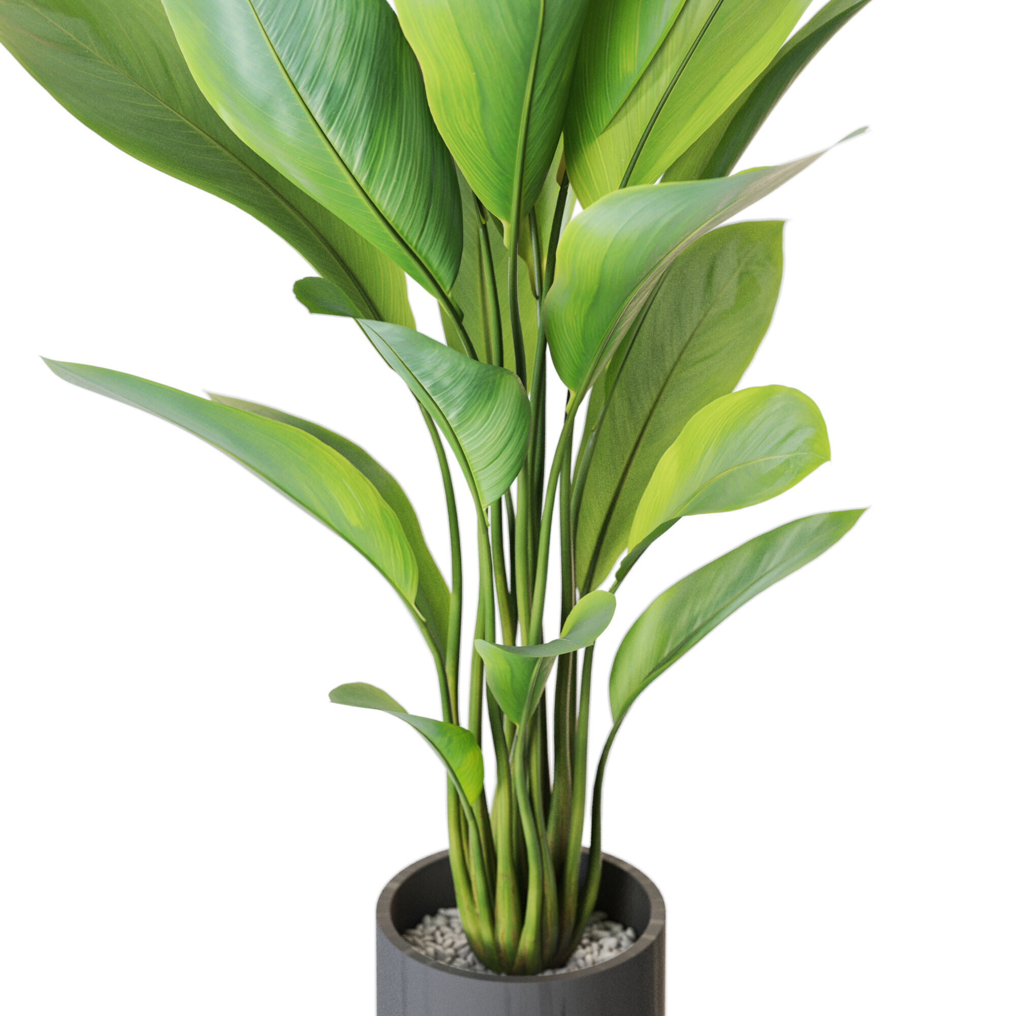 Plant 1213 3D model_2