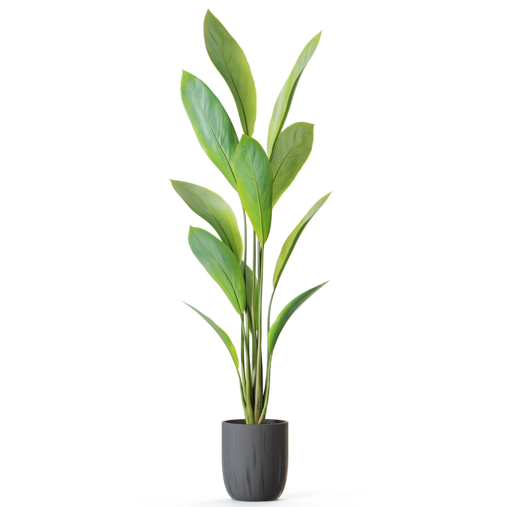Plant 1214 3D model_1