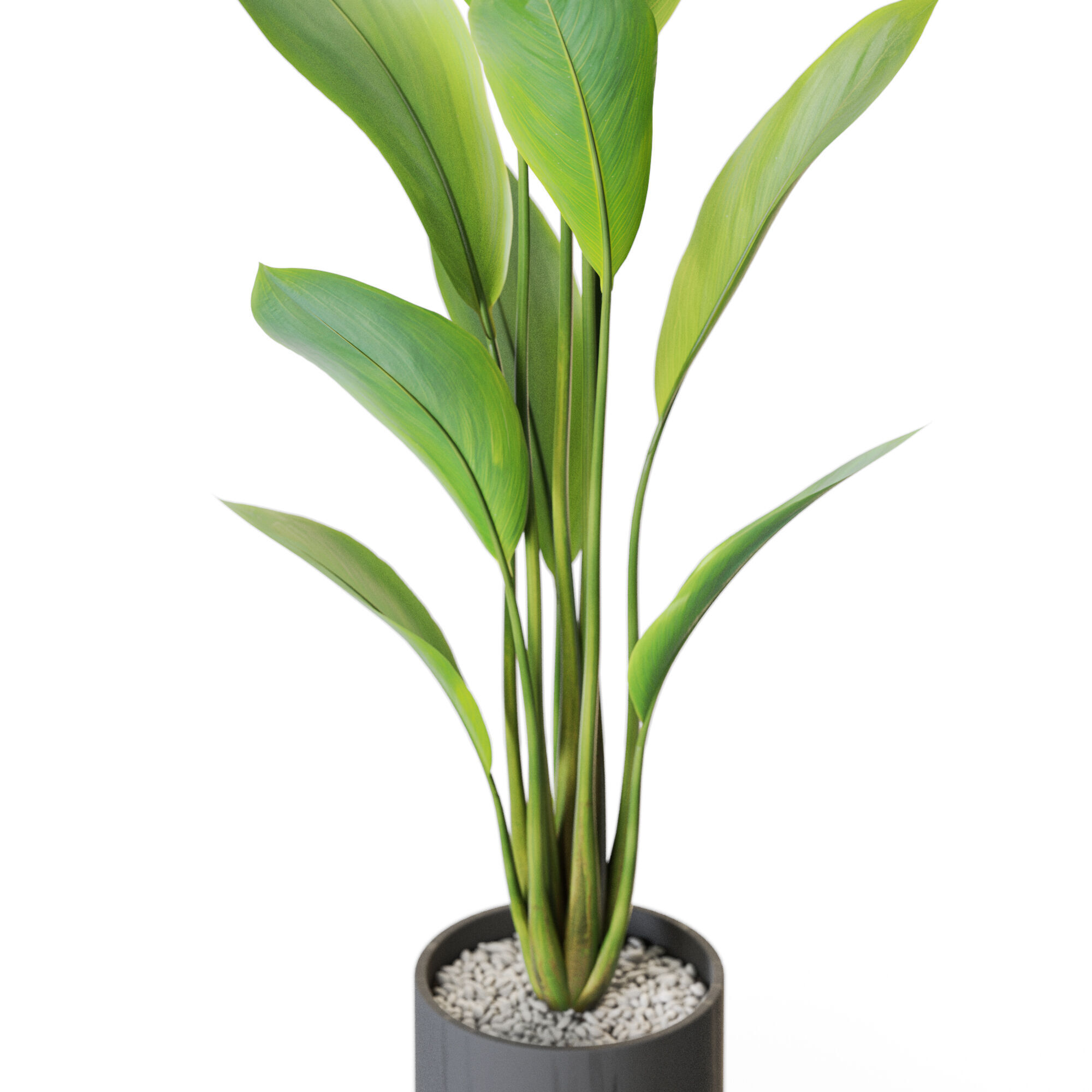 Plant 1214 3D model_2